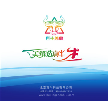 真牛美缝告诉你；灰砖美缝什么颜色好看！ 