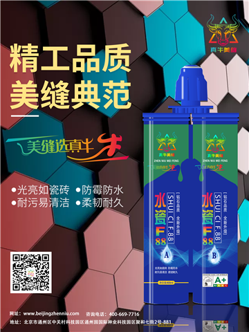 真牛美缝告诉你；你想象中的美缝是什么样的，真牛给您唠一捞 
