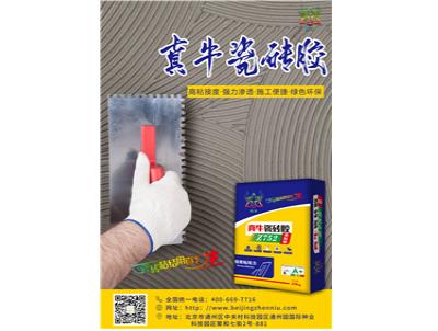 专题海报