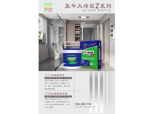 专题海报